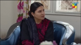 Mere Damad - Episode 16